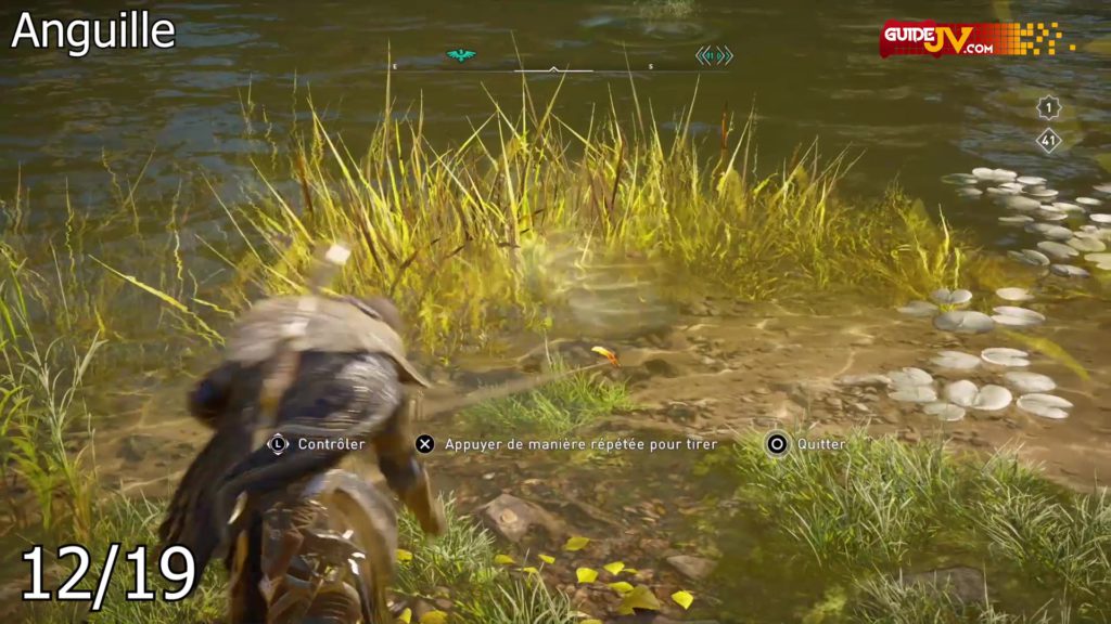 assassins-creed-valhalla-guide-emplacement-poisson-belle-prise-00058