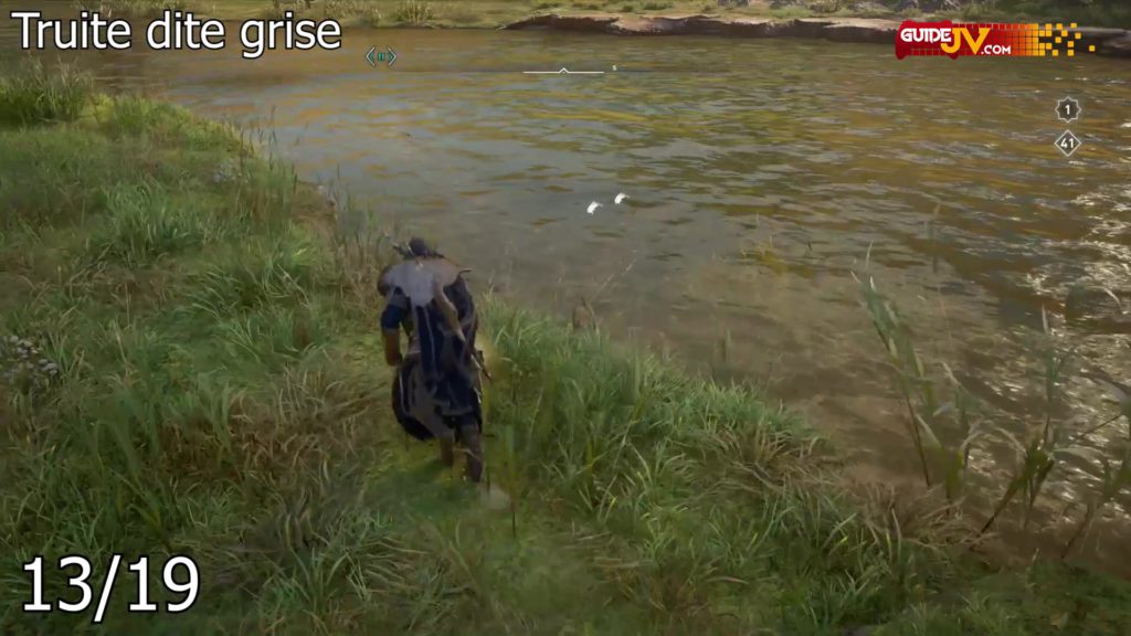 assassins-creed-valhalla-guide-emplacement-poisson-belle-prise-00063