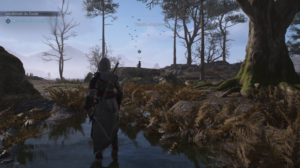 assassins-creed-shadows-guide-complet-des-shinobi-du-godai-toutes-les-cibles-enquete-et-emplacements (1)